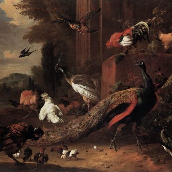 HONDECOETER Melchior de_The Pair of Peacocks_1670s_Oil on canvas156 x 188 cm_Akademie der bildenden Künste_Vienna HONDECOETER Melchior de_The Pair of Peacocks_1670s_Oil on canvas156 x 188 cm_Akademie der bildenden Künste_Vienna